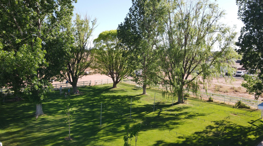 dji_fly_20250523_164818_626_174804410753