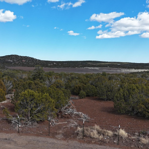 DJI_20240301142707_0010_D