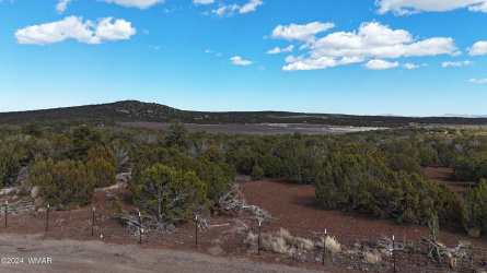 71 N8225, Concho, Arizona 85924, ,Land,For Sale,N8225,257057