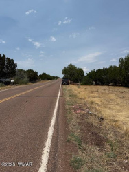 8700 Silver Creek Drive, Show Low, Arizona 85901, ,Land,For Sale,Silver Creek,257045