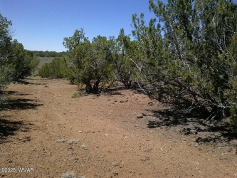 TBD CR 8026, Concho, Arizona 85924, ,Land,For Sale,CR 8026,257046