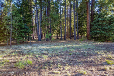 10 N 1337, Greer, Arizona 85927, ,Land,For Sale,N 1337,257047