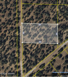 22 County Road 3048, Concho, Arizona 85924, ,Land,For Sale,County Road 3048,257055