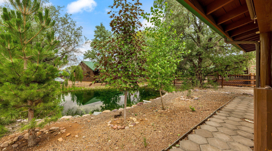 COMMUNITY STREAM BEHIND HOUSE