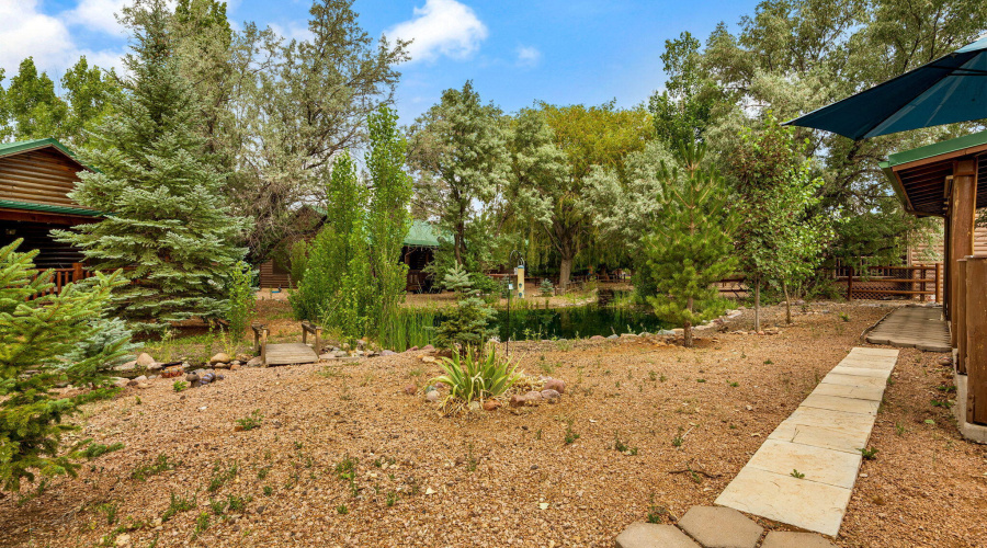 NICE TREES ON THE LOT