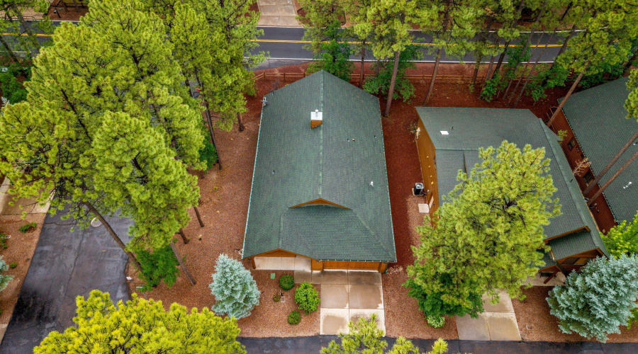 3927ElkHollowDr-Pinetop-AZ-27