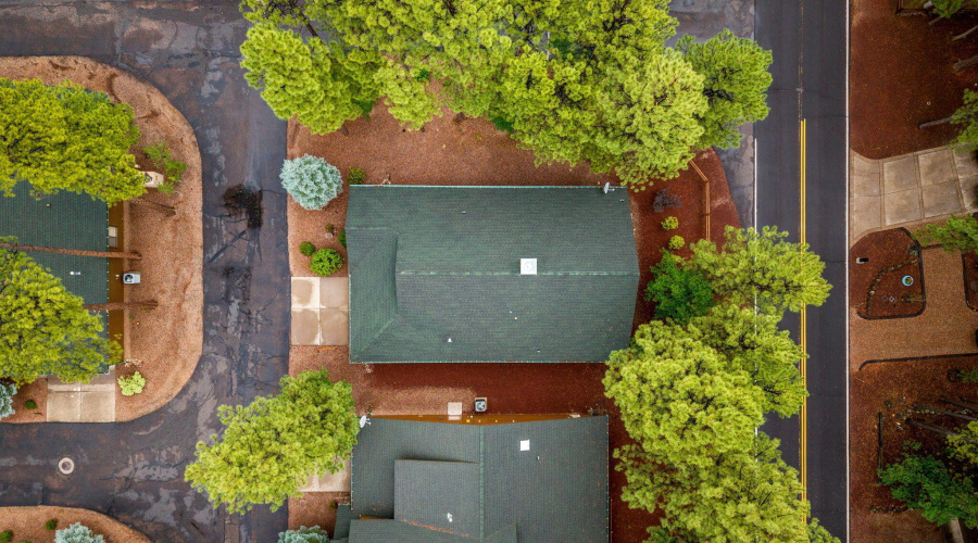 3927ElkHollowDr-Pinetop-AZ-28