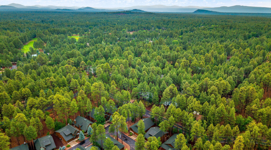 3927ElkHollowDr-Pinetop-AZ-29