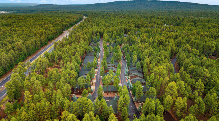 3927ElkHollowDr-Pinetop-AZ-30