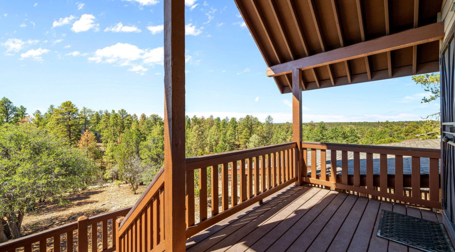 PATIO OFF GUEST SUTIE