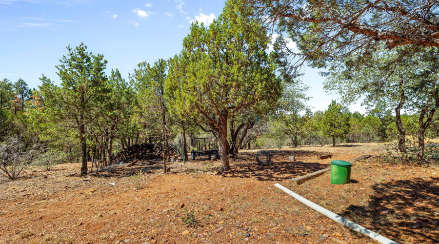 2321ChandelleLn-Overgaard-AZ-45