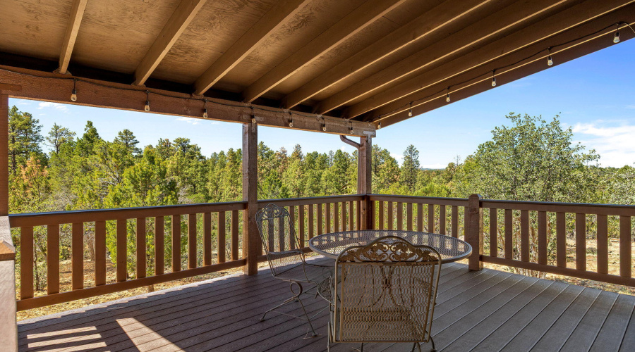 LARGE COVERED DECK