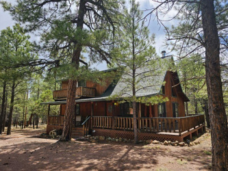 4602 Cinch Circle, Happy Jack, Arizona 86024, Bedrooms, ,Bathrooms,Residential,For Sale,Cinch,92541