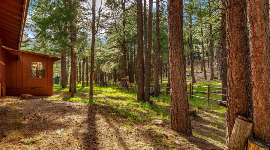 2499CanyonDr-ForestLakes-AZ-27