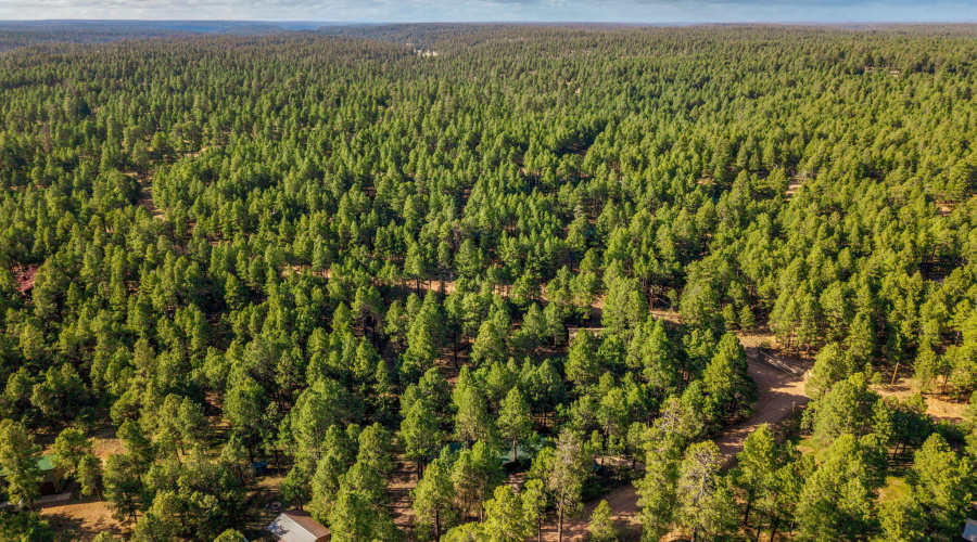 2499CanyonDr-ForestLakes-AZ-34