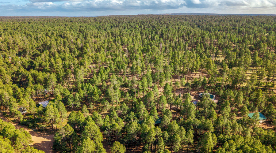 2499CanyonDr-ForestLakes-AZ-35