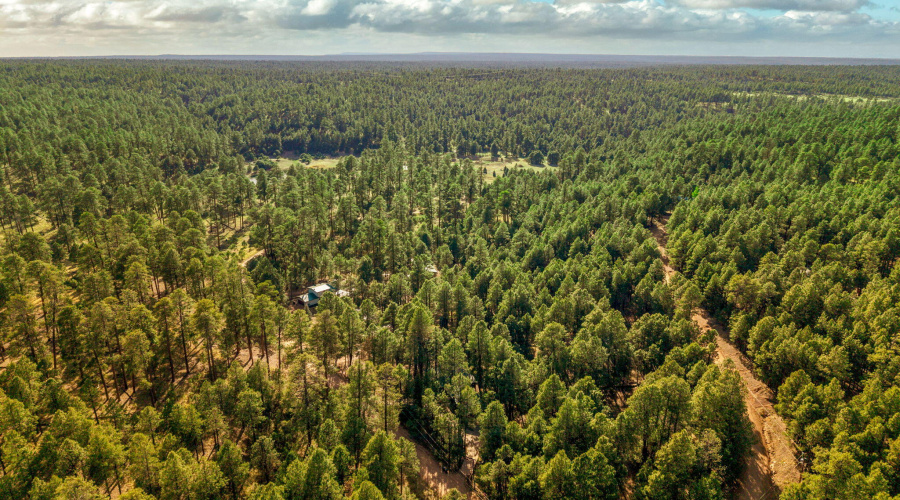 2499CanyonDr-ForestLakes-AZ-36