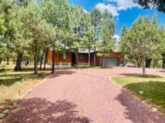 4941 SADDLE BLANKET Circle, Happy Jack, Arizona 86024, Bedrooms, ,Bathrooms,Residential,For Sale,SADDLE BLANKET,92042