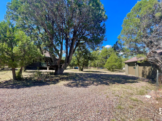 1947 CLEAR CREEK Drive, Happy Jack, Arizona 86024, Bedrooms, ,Bathrooms,Residential,For Sale,CLEAR CREEK,91999