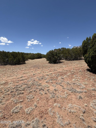 8580 D Lawson Lane, Snowflake, Arizona 85937, ,Land,For Sale,Lawson,257098