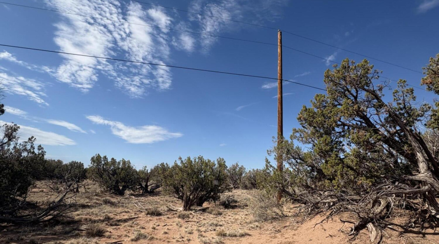 power is with in view