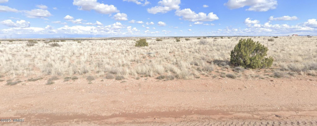 79 Old Woodruff Road, Snowflake, Arizona 85937, ,Land,For Sale,Old Woodruff,257090