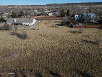 Lot 4 Susie Lane, Springerville, Arizona 85938, ,Land,For Sale,Susie,252068
