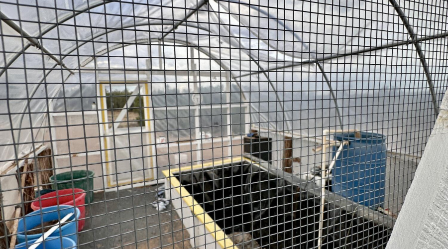 2nd GH w/ catfish pond