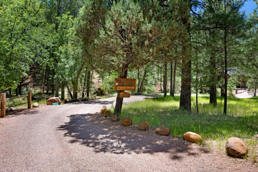 8019 Hidden Lane, Payson, Arizona 85541, Bedrooms, ,Bathrooms,Residential,For Sale,Hidden,92623