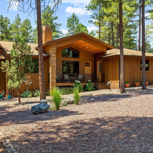 4241 W Wild Iris