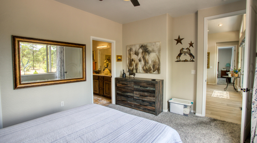 Paxmanphoto_PAX_8029