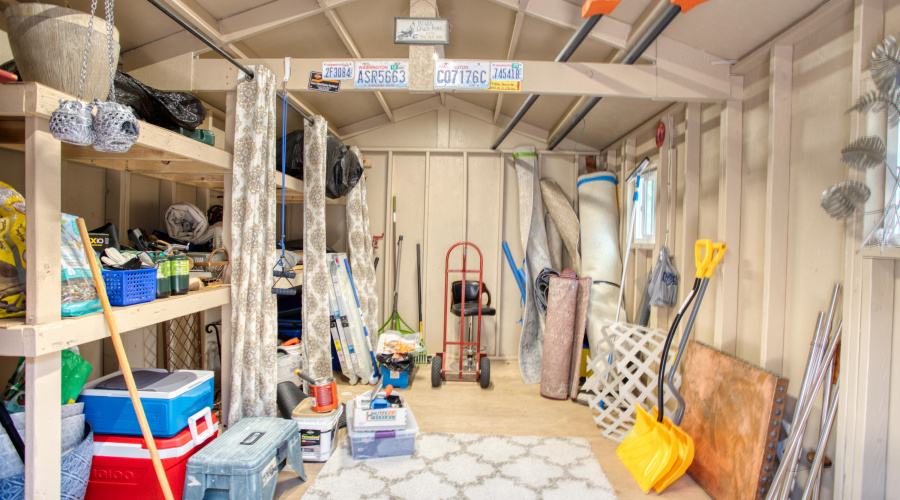 Paxmanphoto_PAX_8109