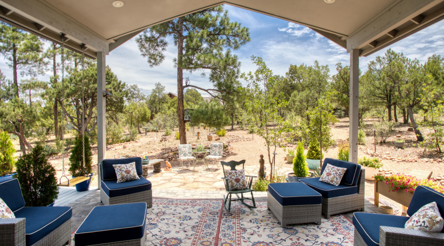 Paxmanphoto_PAX_8083