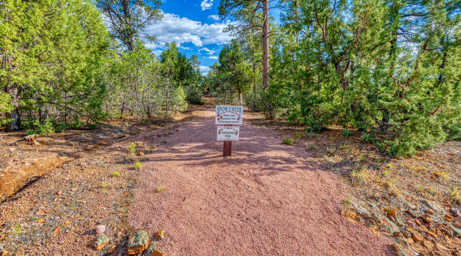 PAX_8371_AuroraHDR2019-edit