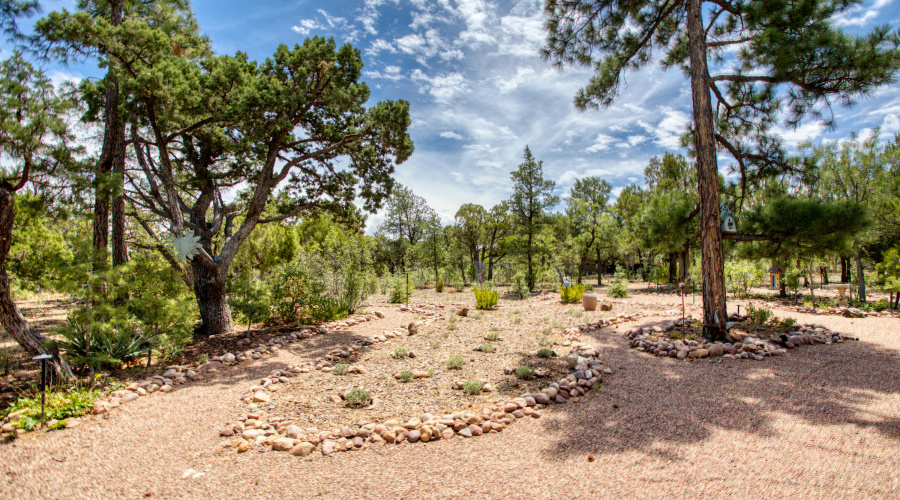 Paxmanphoto_PAX_8113