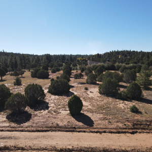 DJI_0351