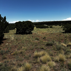 level land