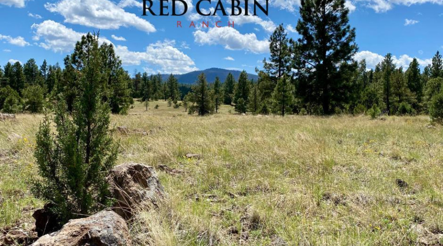 Red Cabin Ranch