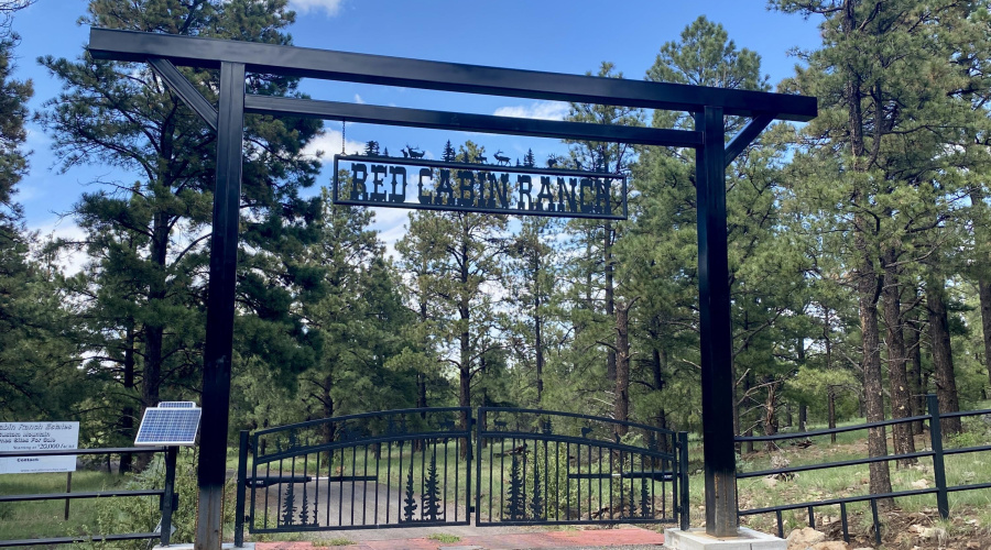 56A6718C-3069-465B-9A7A-642948B385E3_1_2