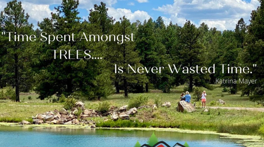 Time Spent Amongst Nature....-3