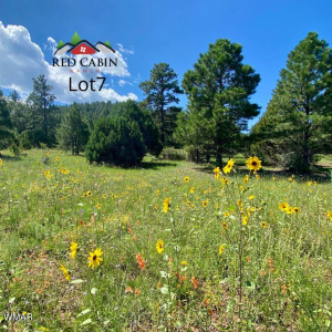 Red Cabin Ranch