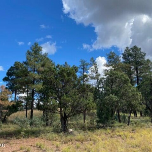 Show Low AZ