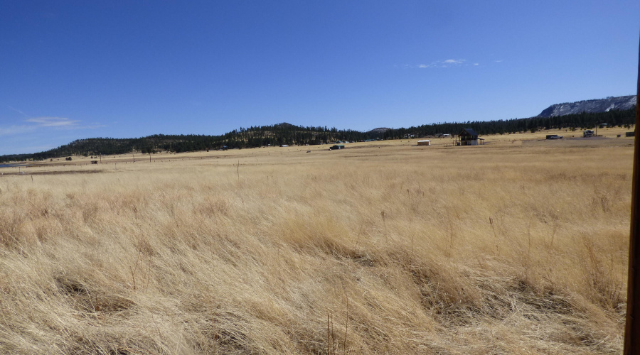 34 CR 2100 Alpine (11)