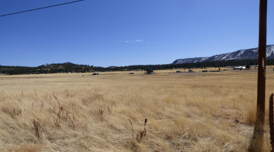 34 CR 2100 Alpine (1)