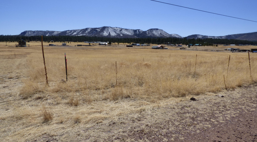 34 CR 2100 Alpine (3)