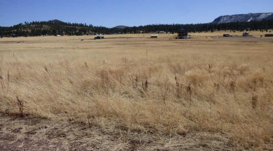 34 CR 2100 Alpine (6)