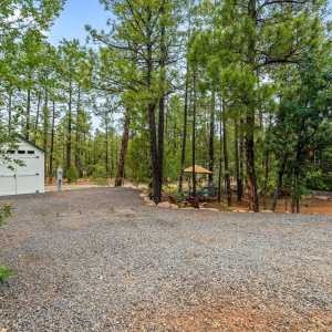 3750MuleSkinnerLoop-ShowLow-AZ-3