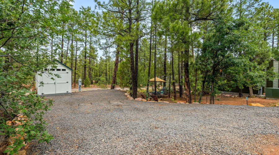 3750MuleSkinnerLoop-ShowLow-AZ-3