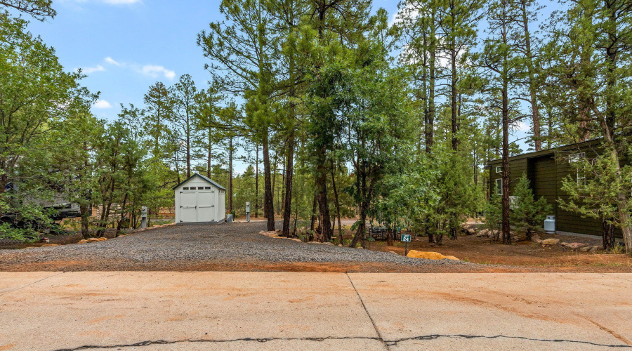 3750MuleSkinnerLoop-ShowLow-AZ-1