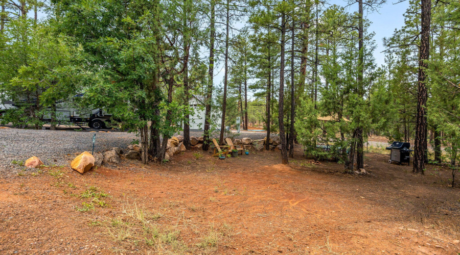 3750MuleSkinnerLoop-ShowLow-AZ-4